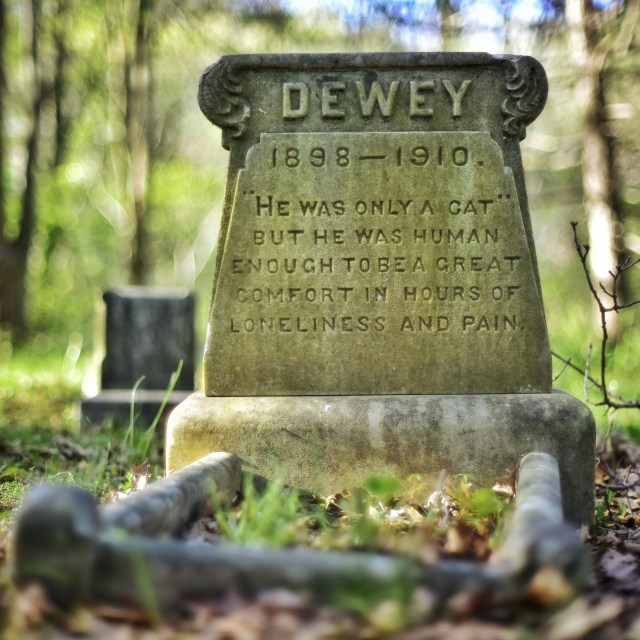 pet grave